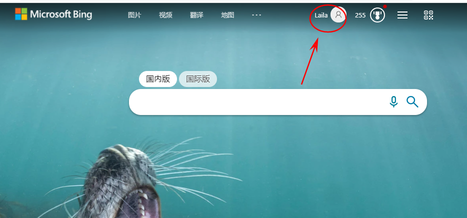 无魔法使用newbing,手机电脑都能用,只需要安装一个小插件