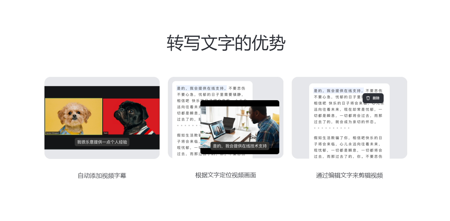 Vizard录屏